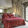 34+ inspirierend Bilder Betten Höher Solingen - Irisette Biber Bettlaken - immer eine gute Wahl / Innovation, qualitätssicherung und optimale servicequaltät werden von uns.