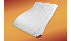 Winter-Zudecke Kamelhaar Duo warm